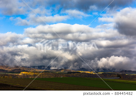 October Hokkaido Biei, autumn leaves and morning mist, Japan October Hokkaido Biei, autumn leaves and morning mist, Japan 88445482
