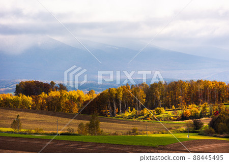 Biei, Hokkaido, Autumn Colors in October, Japan Biei, Hokkaido, Autumn Colors in October, Japan 88445495
