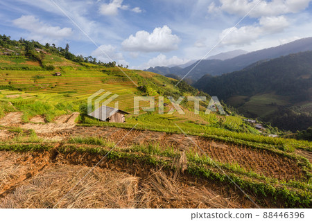 Green terraced rice fields in rainy season at Mu Cang Chai, Vietnam 88446396