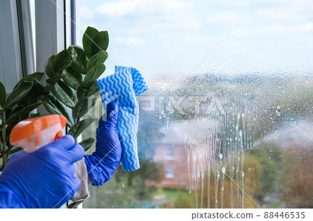 Woman in Blue Gloves Cleaning a Window Using Sprayed Liquid and micro fiber cloth wiping window from dust. General spring cleaning. Housework and housekeeping concept 88446535