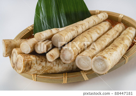 Subdivided cuts of fresh and delicious burdock 88447181