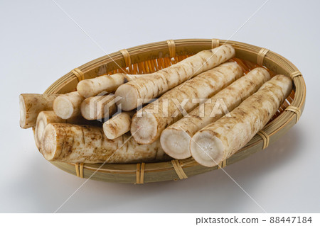 新鮮美味的牛蒡細分切塊 新鮮美味的牛蒡細分切塊 88447184