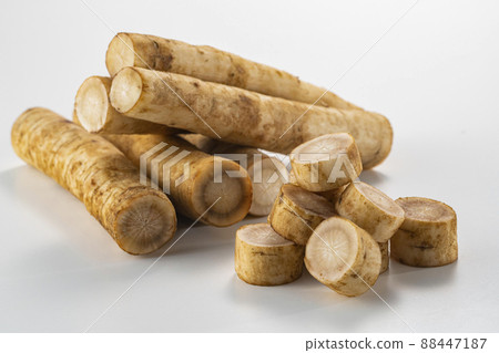 新鮮美味的牛蒡細分切塊 88447187