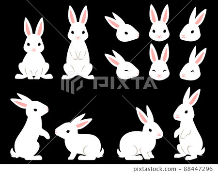 White rabbit illustration set 88447296