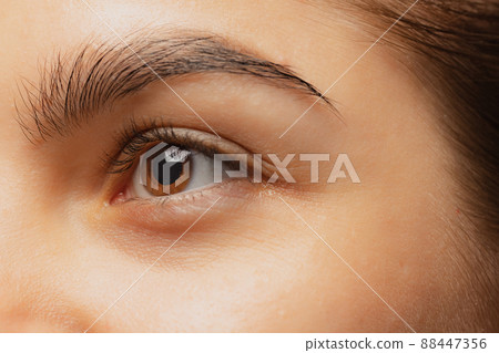 Cropped close-up image of female beautiful brown eyes looking left side isolated over white studio background 88447356