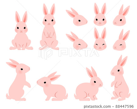 Pink rabbit illustration set 88447596