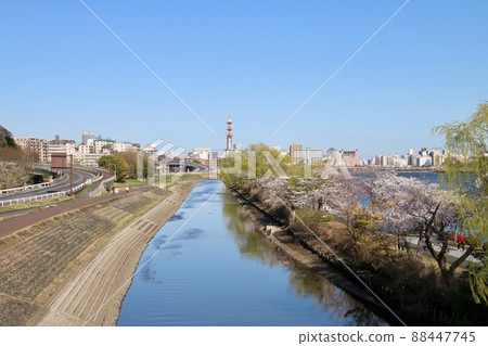 Cityscape of Mito City (Ibaraki Prefecture, Mito City) 88447745