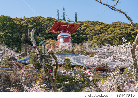 【23號不動所】春藥王寺、朝聖塔【四國88處】 88447919