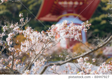 【23號不動所】春藥王寺、朝聖塔【四國88處】 88447927