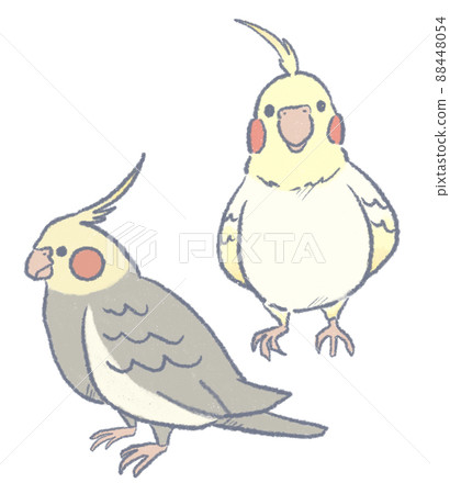 Parakeets of different colors 88448054