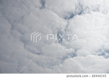 雲 雲 88448145