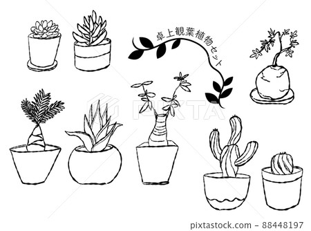 Tabletop foliage plant set / line only 88448197