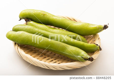 Broad beans Broad beans 88448205