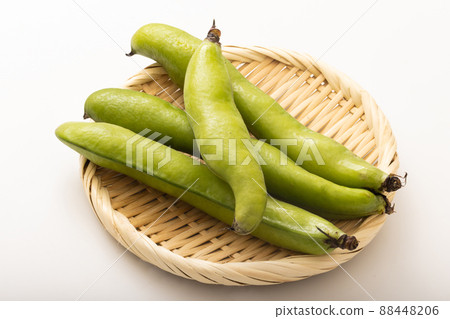 Broad beans Broad beans 88448206