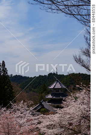 Thousand cherry blossoms and temples on Mt. Yoshino in Nara 88448558