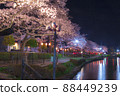 Night cherry blossoms lit up Night view Spring scenery Sakura Kaminuma Park 88449239
