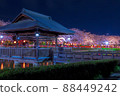 Night cherry blossoms lit up Night view Spring scenery Sakura Kaminuma Park 88449242