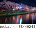 Night cherry blossoms lit up Night view Spring scenery Sakura Kaminuma Park 88449243