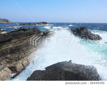 Jogashima自然的荒野 Jogashima自然的荒野 88449340