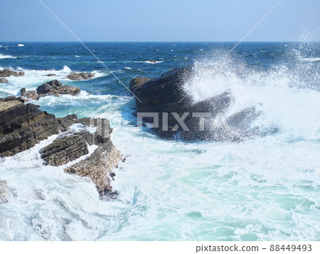 Jogashima自然的荒野 88449493