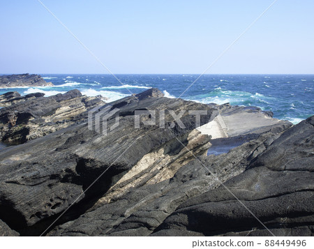 Wilderness of Jogashima Nature Wilderness of Jogashima Nature 88449496