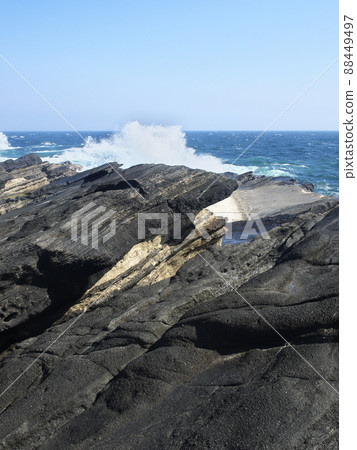 Jogashima自然的荒野 Jogashima自然的荒野 88449497