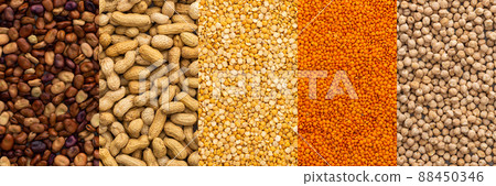 Different types of legumes 88450346