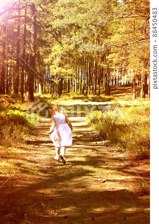 Little girl in the autumn park. Little girl in the autumn park. 88450483