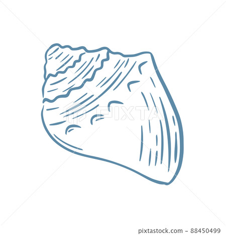 Seashell sketch vector illustration 88450499