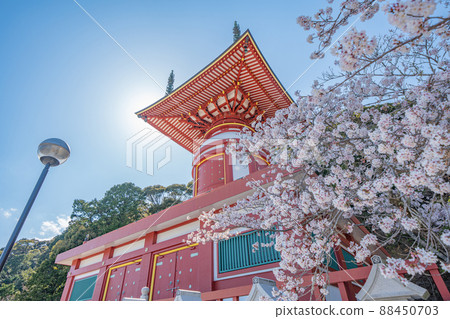[No. 23 Fudasho] Spring Yakuoji Temple, Pilgrimage Tower [88 places in Shikoku] 88450703