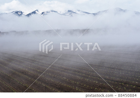 Ground fog in the Shiretoko region (Hokkaido) 88450884