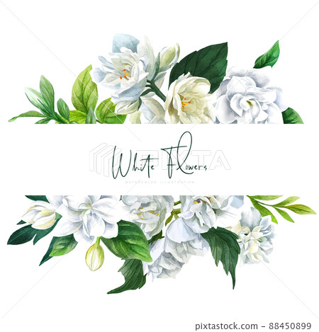 Banner with white flowers, hand drawn vector 88450899