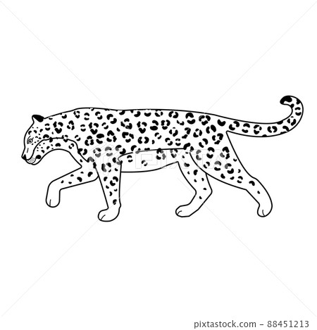 Vector flat outline leopard Vector flat outline leopard 88451213