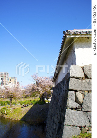 Fukuoka Castle Nobashi Gate and Sakura Fukuoka Castle Nobashi Gate and Sakura 88452456