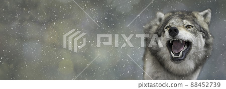 Wolf portrait on a blurred spots background with copy space. Wolf portrait on a blurred spots background with copy space. 88452739