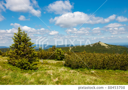 mountain path in the Karkonosze Mountains mountain path in the Karkonosze Mountains 88453708