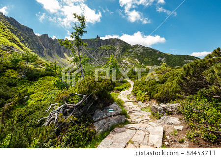 Karkonosze National Park in beautiful green colors 88453711