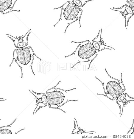 Seamless pattern of monochrome ground beetles illustration. Vector illustration template Seamless pattern of monochrome ground beetles illustration. Vector illustration template 88454058