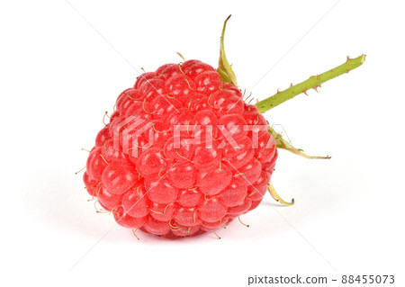 Raspberry ripe and tasty. Isolated on white background. Raspberry ripe and tasty. Isolated on white background. 88455073