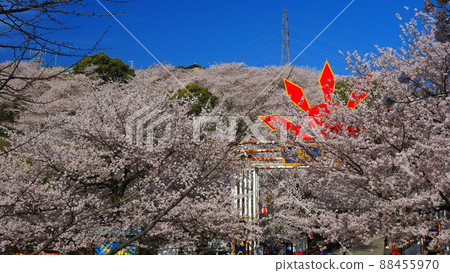 Asahiyama Forest Park 10 88455970