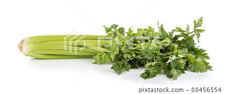 Celery bouquet isolated 88456554