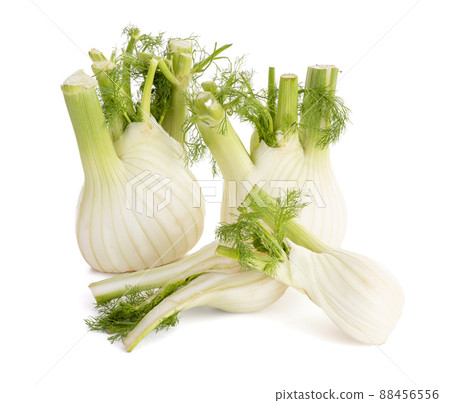 Fennel bulb isolated 88456556