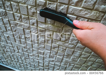 去除外牆上的苔蘚 去除外牆上的苔蘚 88456766