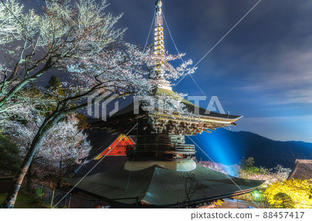 Illuminated cherry blossoms in Amabiki Kannon, Sakuragawa City, Ibaraki Prefecture 88457417