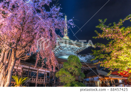 茨城縣佐倉川市 Amabiki Kannon 燈火通明的櫻花 88457425