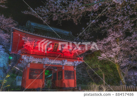 Sakuragawa City, Ibaraki Prefecture, illuminated with cherry blossoms from Amabiki Kannon Sakuragawa City, Ibaraki Prefecture, illuminated with cherry blossoms from Amabiki Kannon 88457486