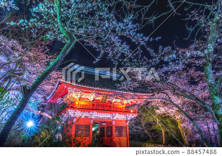Sakuragawa City, Ibaraki Prefecture, illuminated with cherry blossoms from Amabiki Kannon Sakuragawa City, Ibaraki Prefecture, illuminated with cherry blossoms from Amabiki Kannon 88457488