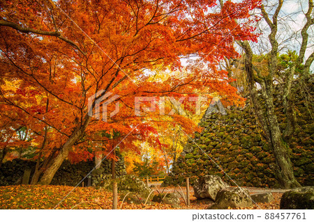 秋季信州小諸小諸城紅葉城遺址（日本百城） 88457761
