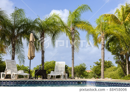 Rest zone near swimming pool surrounded with palm trees. Rest zone near swimming pool surrounded with palm trees. 88458006