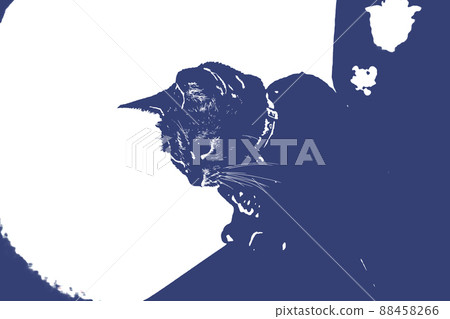 Cat Cat Cat Kijitora White Gray Kitten Female Female Female Cat Female Cat Female Cat Cheerful Cute Healing Cat Cat Cat Kijitora White Gray Kitten Female Female Female Cat Female Cat Female Cat Cheerful Cute Healing 88458266